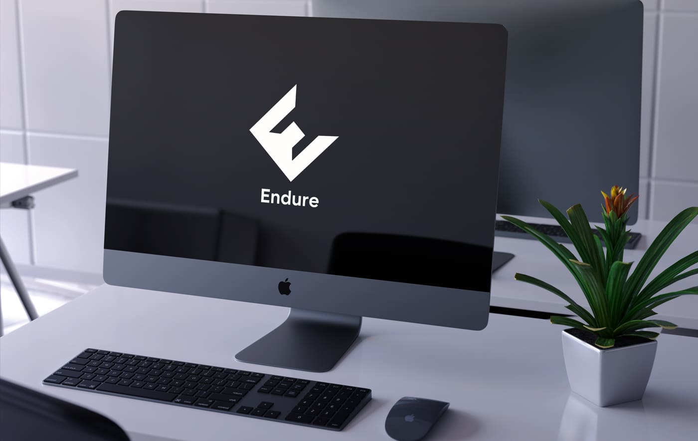 Логотип Endure - отрисовки вариантов использования